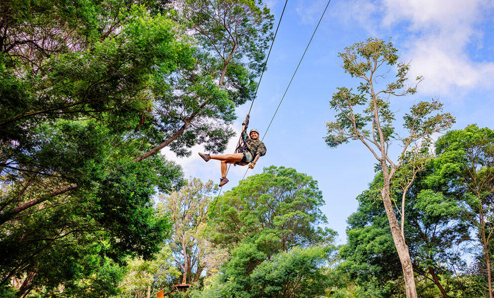 North Shore Zipline