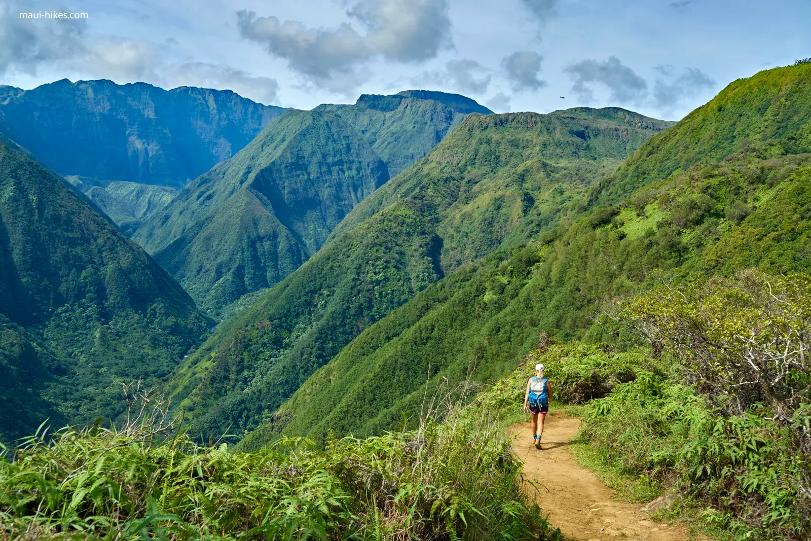 hiking - waihee ridge