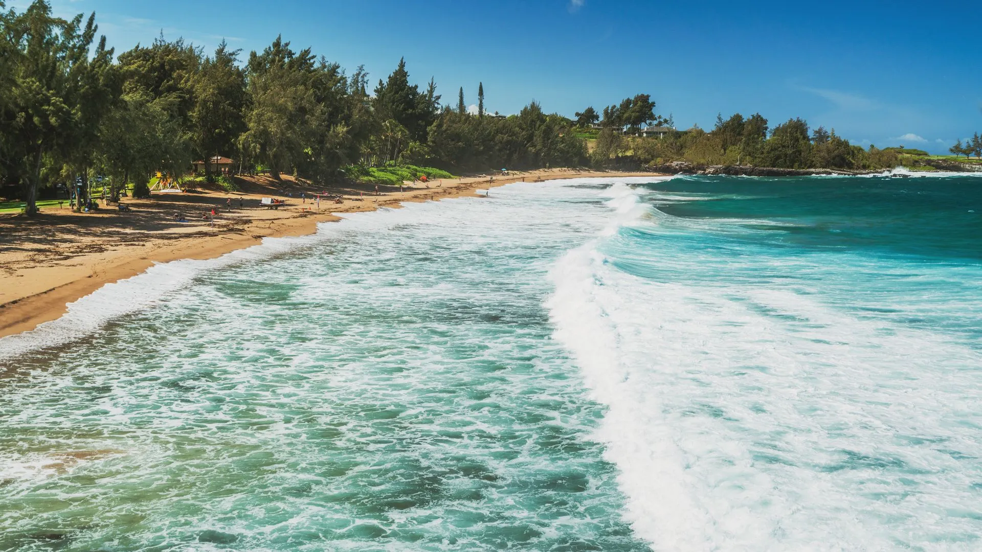 kapalua maui - D.T Flemings