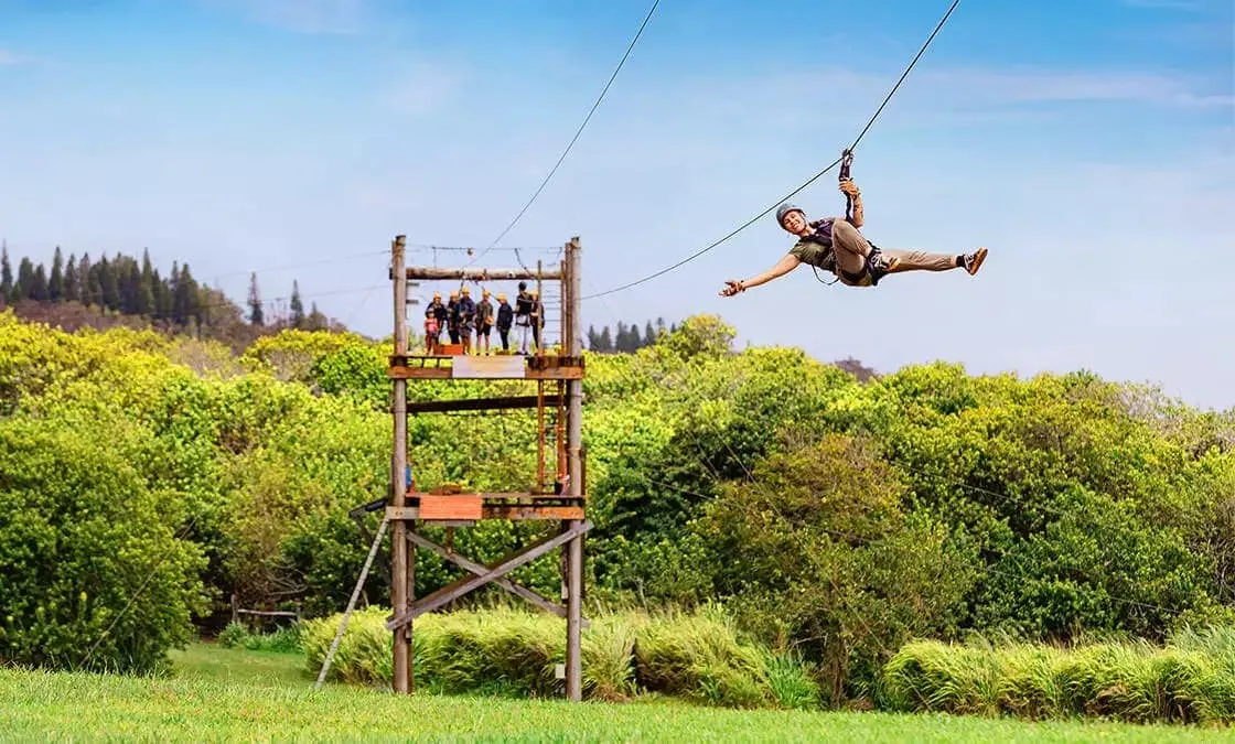 zipline - northshore zipline