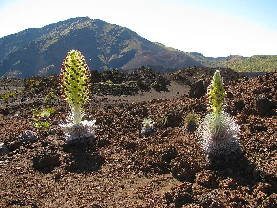 haleakala