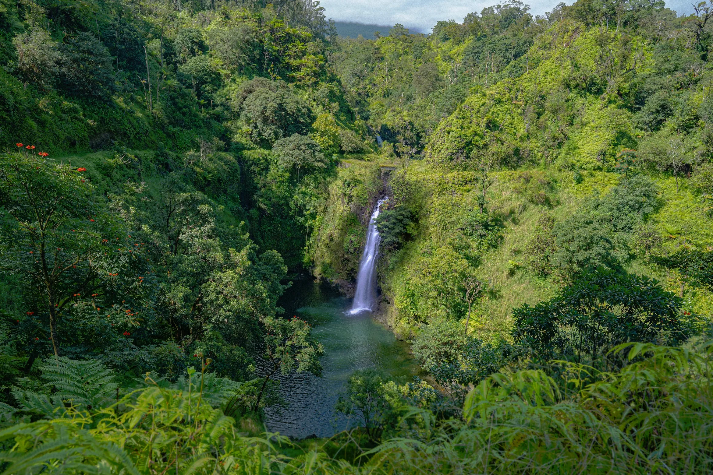 adventures on maui