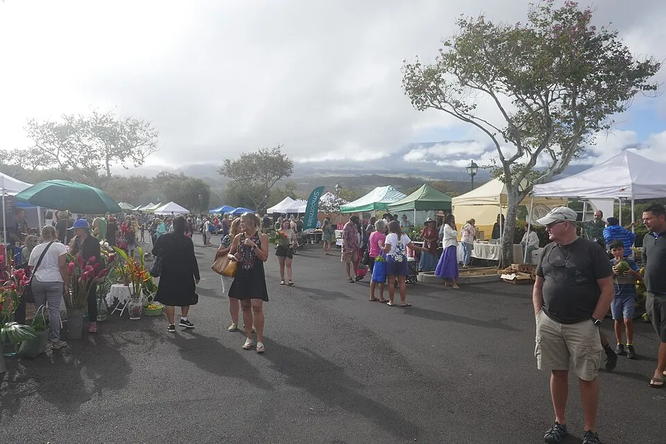 farmers market