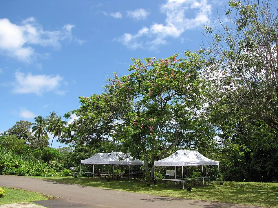 farmers market