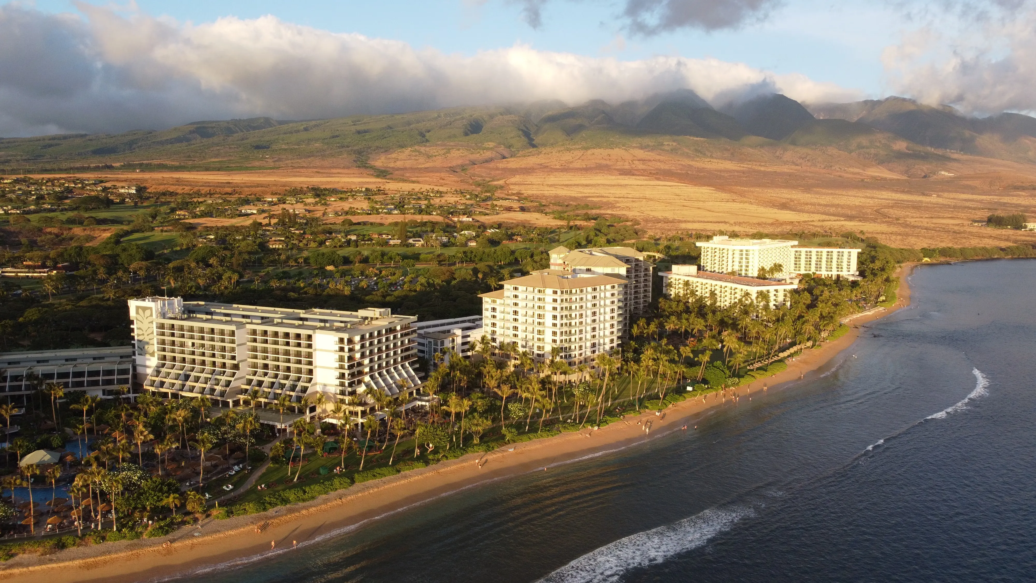 lahaina
