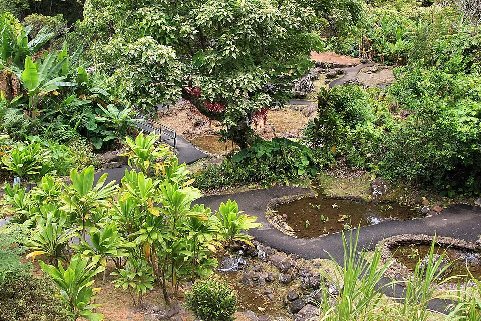 maui family friendly activities