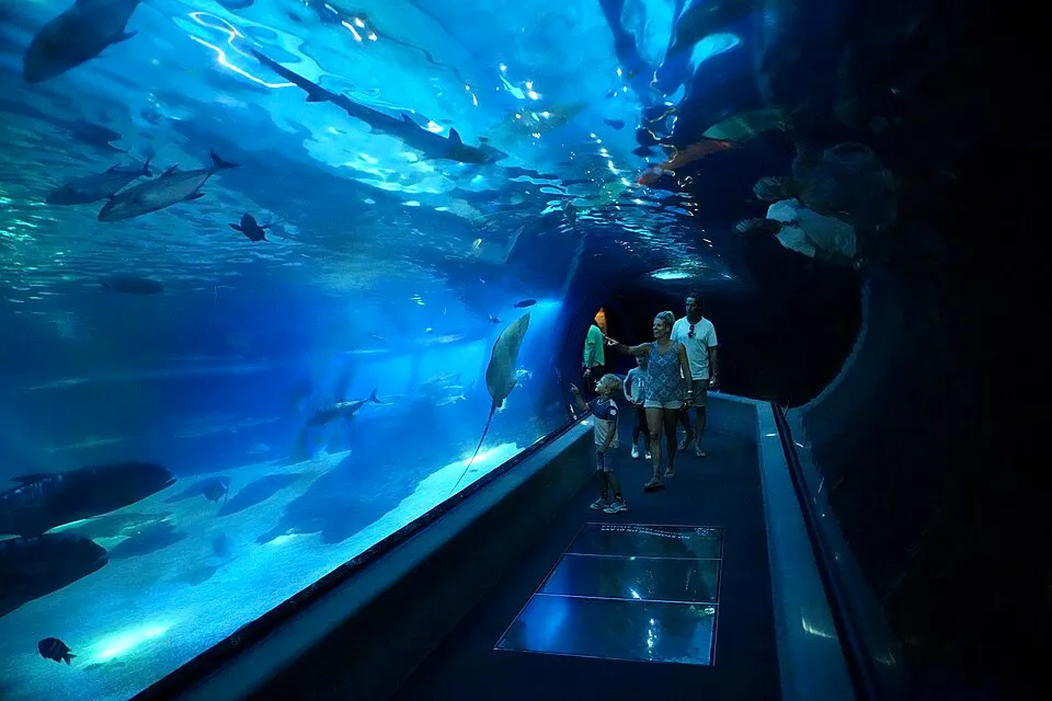 maui family friendly activities